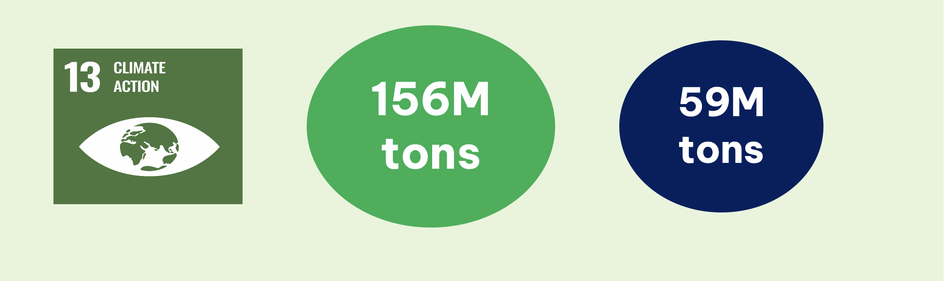 Biochar Impact